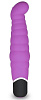 Фиолетовый вибратор Lovetoy IJOY Dynamic G-spot Stimulator LV430101 (21 см)