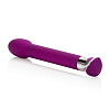 Фиолетовый вибратор California Exotic Novelties Risqué® 10-Function Tulip SE-0560-80-3 (17 см)