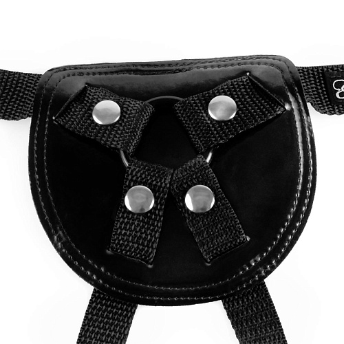 Трусики для страпона чёрного цвета Pipedream Stay-Put Harness PD3462-23
