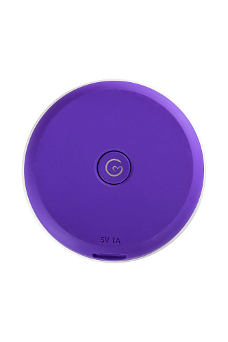 Контейнер для обработки Rosa Rugosa Mini Bar Rosa Rugosa MB-Purple