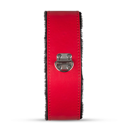 Красно-чёрный эротический набор EDC Wholesale Red Dragon LBX406