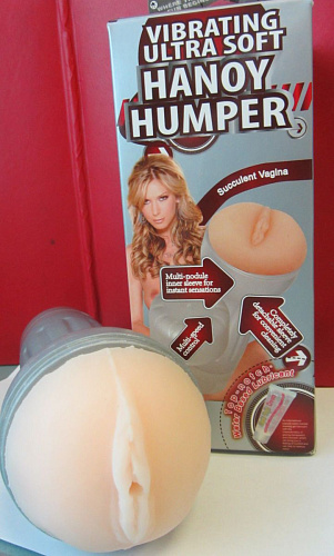 Вибрирующий мастурбатор-вагина в тубусе Sextoy 2011 00372