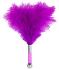 Фиолетовая метёлка-пуховка с круглым наконечником Blush Novelties FEATHER TICKLER 520119 (24 см)