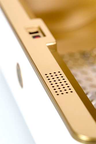 Бело-золотистый контейнер для обработки Rosa Rugosa Security Knight Q3