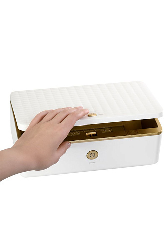 Бело-золотистый контейнер для обработки Rosa Rugosa Security Knight Q3