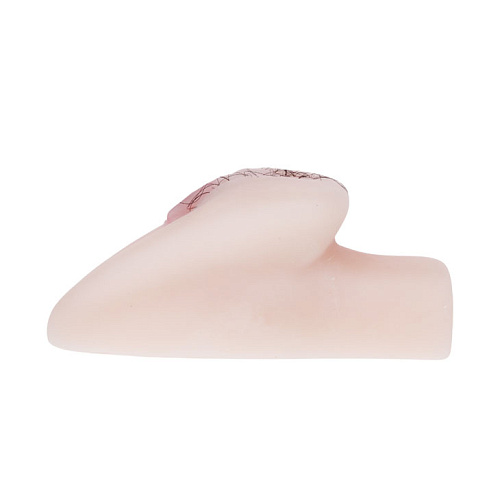 Мастурбатор-вагина телесного цвета с выносным пультом Baile BM-009096-1002