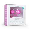 Розовые вагинальные шарики с ребрышками EDC Roze Love Balls ET004PNK