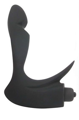 Чёрный силиконовый массажёр простаты с отростком Bior toys Sex Expert SEM-55104