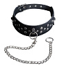 Кожаный чёрный ошейник с карабином и поводком Sitabella 3100-1
