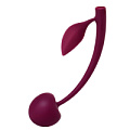 Бордовая вагинальная вишенка JOS WILD CHERRY 782024 (13 см)