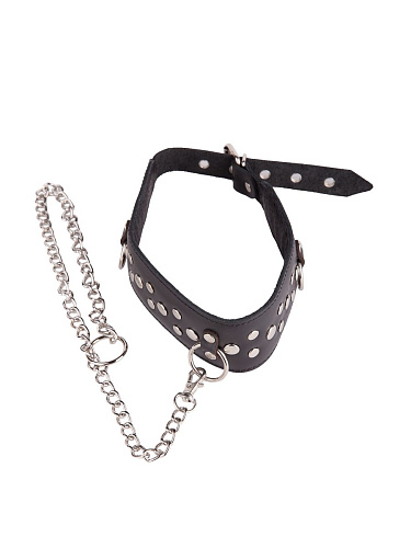 Кожаный чёрный ошейник с карабином и поводком Sitabella 3100-1