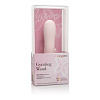 Нежно-розовывй вибромассажёр California Exotic Novelties Inspire Gyrating Wand SE-4812-30-3 (16,5 см)