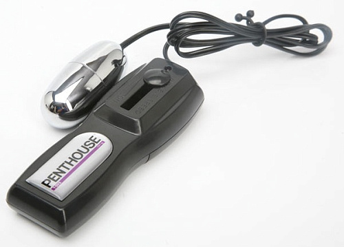 Телесные вагина и анус с вибрацией Topco Sales Rossi Vibrating CyberSkin Pet Pussy Ass 1091331