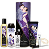 Подарочный набор Shunga CARNAL PLEASURES 9007