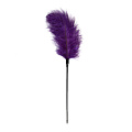 Тиклер с фиолетовыми перышками EDC Wholesale Feather Tickler ET254PUR (54 см)