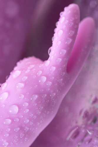 Сиреневый вибратор-кролик Love to Love Hello Rabbit 6032237 (24,5 см)