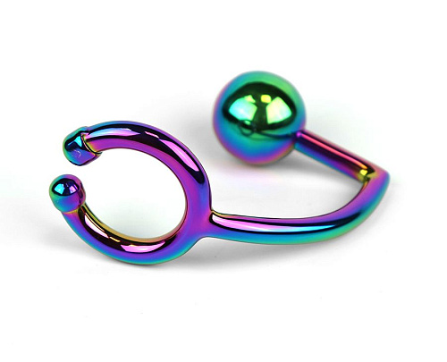 Радужное эрекционное кольцо с анальным плагом House of steel Rainbow Horse Shoe Ring with 40mm Diameter Ball CB843-S