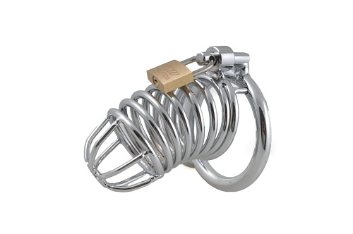 Металлические оковы для члена Пикантные штучки DP200