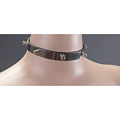 Металлический ошейник со штырьками Подиум Р227