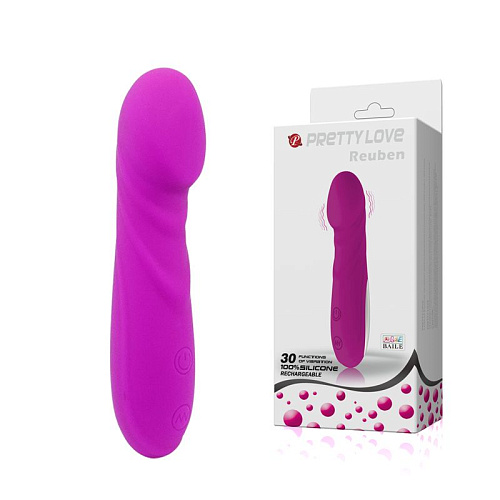 Лиловый перезаряжаемый вибромассажёр Baile REUBEN BI-014358 (14,2 см)