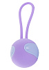 Сиреневый вагинальный шарик Toy Joy DESIRE KEGEL BALL 3006010191