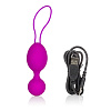Фиолетовые вагинальные виброшарики Jopen Vr1 JO-4759-14-3
