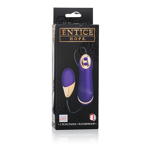 Фиолетовое виброяйцо с проводным пультом California Exotic Novelties Entice Hope SE-4720-30-3