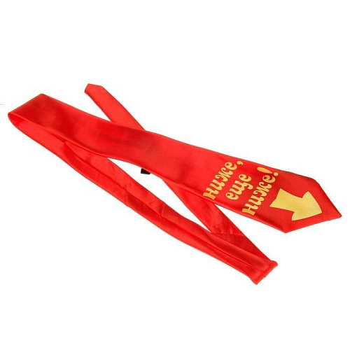 Ролевая секс-игра Сима-Ленд «Снимите это медленно» 746897