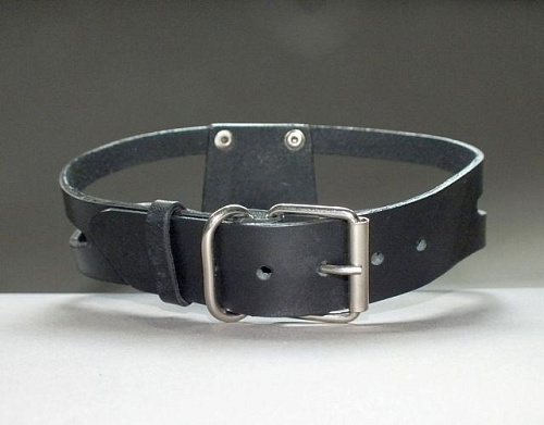 Чёрный ошейник с трискелем Подиум Р2026