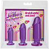 Набор из трёх фиолетовых анальных фаллоимитаторов Doc Johnson Crystal Jellies Anal Starter Kit 0283-22-CD