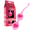 Розовые вагинальные шарики Feelztoys Desi Love Balls E21148