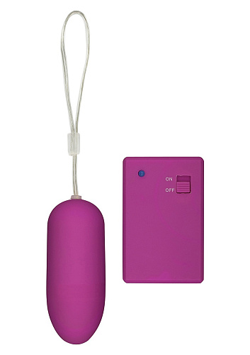 Лиловое вибройяцо с дистанционным управлением Toy Joy Funky Remote Egg 3006009889 (7,5 см)