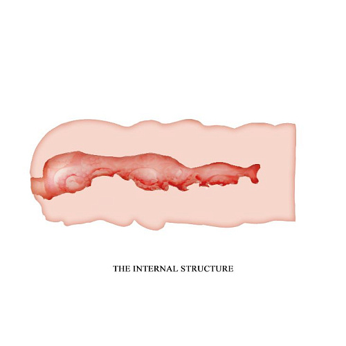 Телесный мастурбатор-вагина Baile Isabel BM-009156U