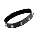 Чёрный кожаный ошейник с фурнитурой со стразами Sitabella 3106-1