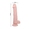 Телесный фаллоимитатор на присоске Baile Super Dildo BW-008091N