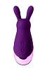 Фиолетовый стимулятор эрогенных зон Eromantica BUNNY 120301 (21,5 см)