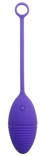 Фиолетовое виброяичко Howells Dancing Fairy 185113pur