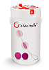 Розовые вагинальные шарики Fun Toys Geisha Balls 2 FT10202