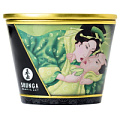 Массажная свеча с ароматом зелёного чая Shunga Exotic Green Tea  4511