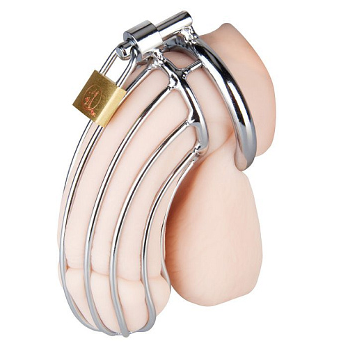 Металлическая решётка верности для мужчин Erotic Fantasy EF-CB3000D