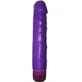 Фиолетовый вибратор Toy Joy Purple Ego 3006009351 (23 см)
