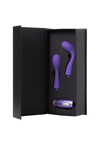 Фиолетовый вибратор с 2 сменными насадками Le Stelle PERKS SERIES EX-1LS12210