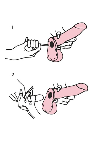 Страпон Харнесс телесного цвета в подарочной упаковке LOVETOY (А-Полимер) 737403 (21 см)