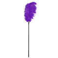 Стек с большим фиолетовым пером Blush Novelties Large Feather Tickler 520026 (65 см)