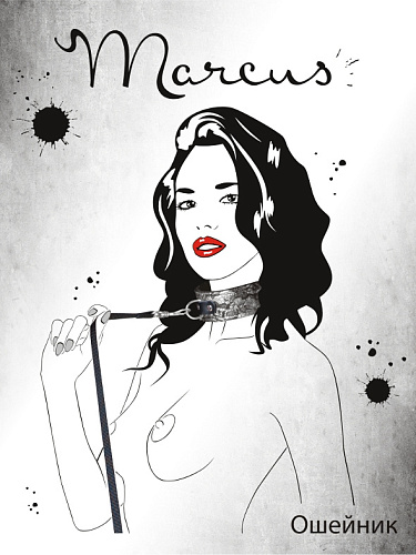 Серебристо-чёрный кружевной ошейник ToyFa 713001