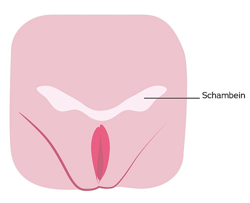 Мастурбатор-вагина телесного цвета Topco Sales CyberSkin Pussy with Virtual Pubic Bone Light 1004556