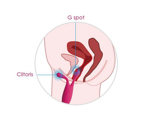 Малиновый трехмоторный универсальный вибромассажёр Svakom Marin S56