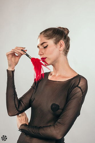 Красный перьевой тиклер Lola Lingerie Plume 1082-01lola (23 см)