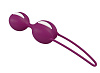 Фиолетовые вагинальные шарики Fun Factory Smartballs Duo 34165