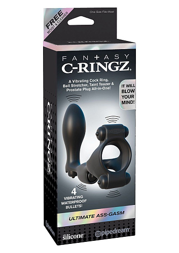 Чёрное эрекционное кольцо с анальным фаллоимитатором и 4 вибростимуляторами Pipedream PD5932-23